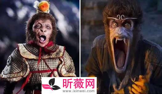 �ֲ�����ճ�ʲô�� ����յ������ж�ֲ�