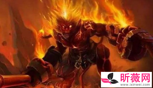 �ֲ�����ճ�ʲô�� ����յ������ж�ֲ�