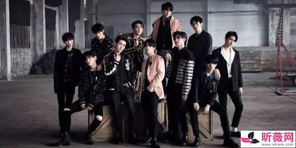 rise���ų�Ա��� ��Ա����