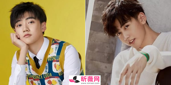 rise���ų�Ա��� ��Ա����