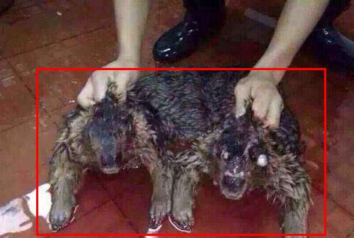 ˮ����ˮ����ʵͼƬ ����ʵ��ˮ��ͼƬ