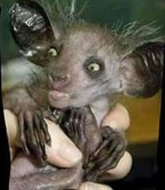 ˮ����ˮ����ʵͼƬ ����ʵ��ˮ��ͼƬ