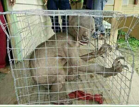 ˮ����ˮ����ʵͼƬ ����ʵ��ˮ��ͼƬ