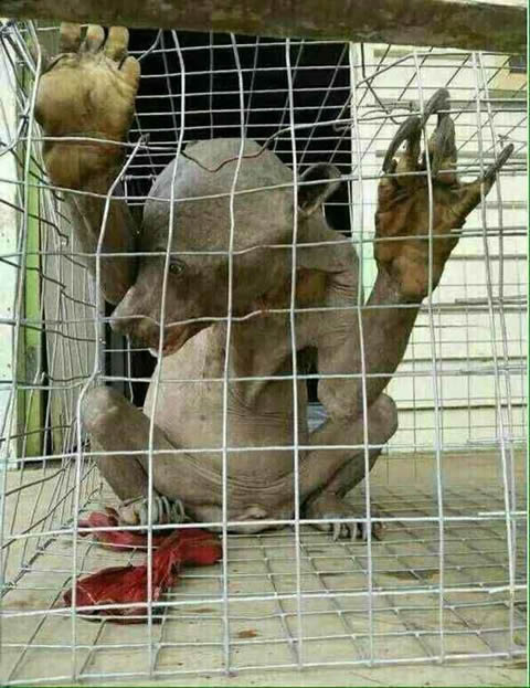 ˮ����ˮ����ʵͼƬ ����ʵ��ˮ��ͼƬ