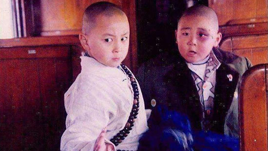 ��С���ͺ����ĵ�Ӱ��ȫ �����¾���Ĳ�Ҫ����