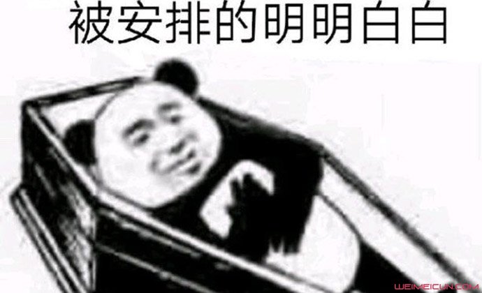 ������ʲô���������� ���ŵ������װ���ʲô��˼