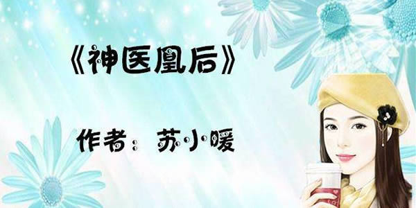且听凤鸣的原著小说 是苏小暖的作品