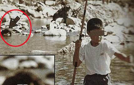 ˮ����ˮ����ʵͼƬ ˮ����ΪʲôҪ������ˮ