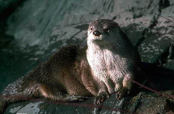 ˮ����ˮ����ʵͼƬ ˮ����ΪʲôҪ������ˮ