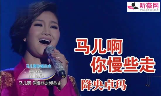 ʮ������ϸ辭�� ������������100���ϸ�