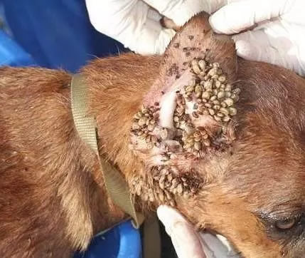 �����������˶��ĵ�ͼƬ �Ӿ��϶�������