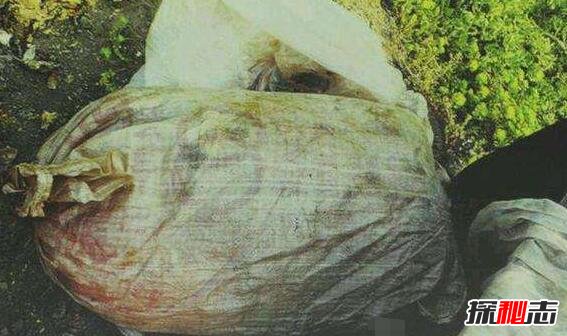南大碎尸案案真相 刁爱青案件的全部过程