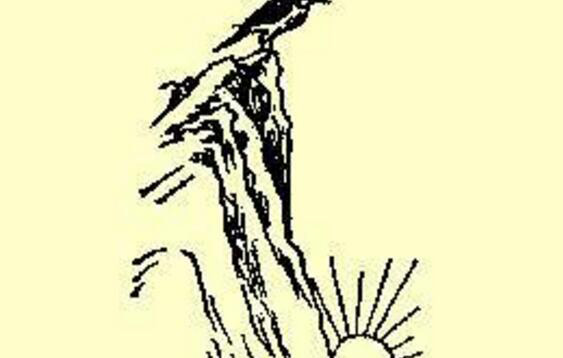 Ԭ�������������˶����� ���Ʊ�ͼ��Ԥ�Ե�������