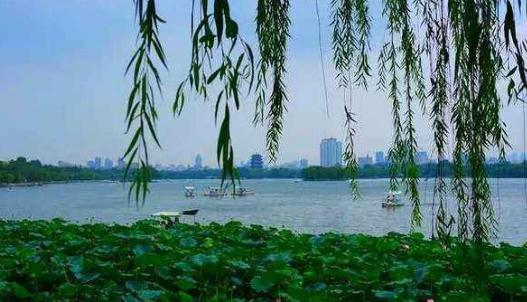 是大明湖畔的夏雨荷吗下一句怎么接 夏雨荷在哪