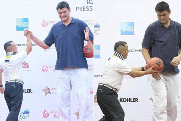 �˳�������־ΰ���߶Ա� ����Ե���˳�����Ӯ