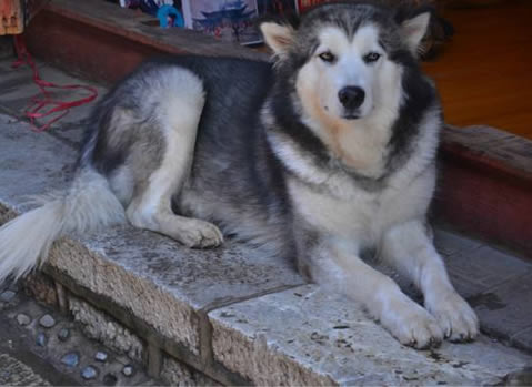 ����˵�������ʲô ����˵������ʲô��˼