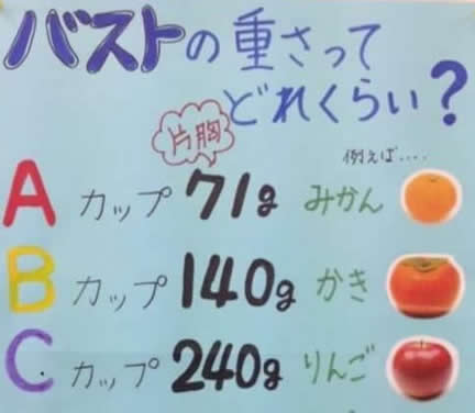A罩杯的女孩子 A罩杯与E罩杯对比