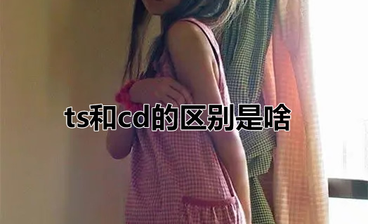ts��cd��ʲô��˼ cd���еĻ���Ů��