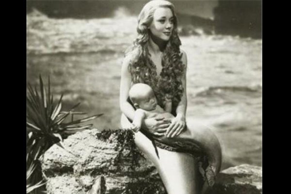 ��˹���������㻯ʯ��ͼƬ ��������ʵ��������ڹ�