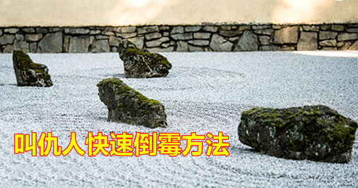 �ó��˿��ٵ�ù�ķ��� ǿ�󵽶Է�ֻ�ܼ���