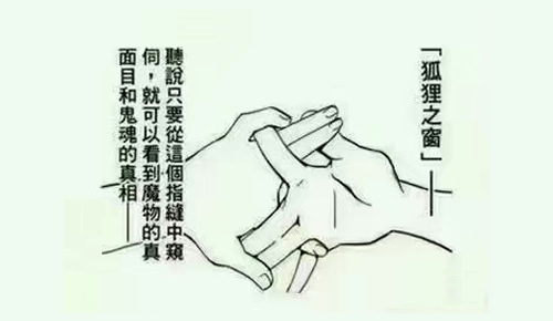 狐狸之窗的危险 狐狸之窗真的看得到鬼