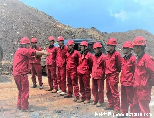 ըѧУ��������Ѵ� ��Υ�����������