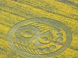 ����ʮ��δ��֮����ʵ����