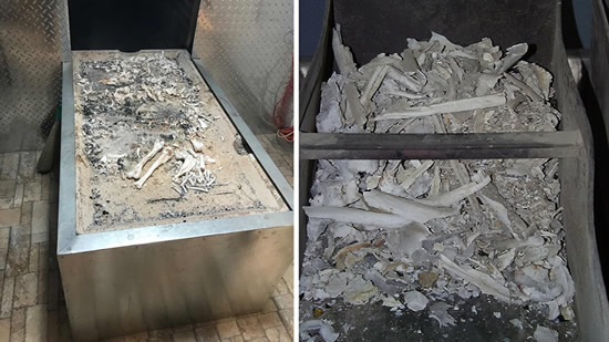 ���ǹ���ô���� ���᳡�𻯵�ȫ����