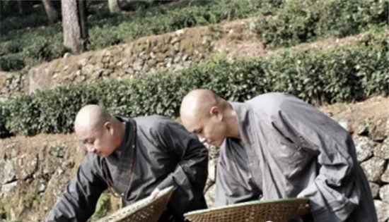 �ּ�����ʲô��� �ּ�������ʲô������