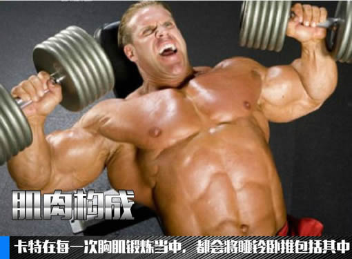 罗尼库尔曼巅峰图片 马库斯·罗西尔的数据图片