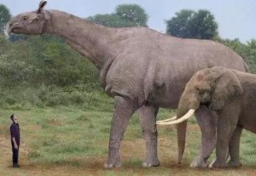 ʷǰ��ֲ��ľ���ͼƬ ʷǰ����ʵ������