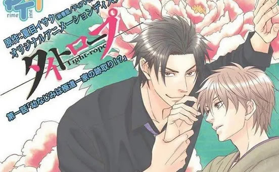 �ÿ���������4�� ϲ�����������ĸ���