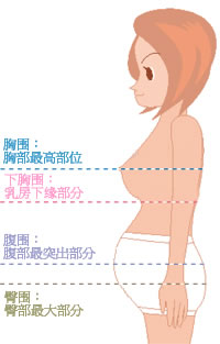 成年女性胸围标准表 女性胸围尺寸对