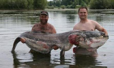 ��С�ʸ����������� ��С����һ����������