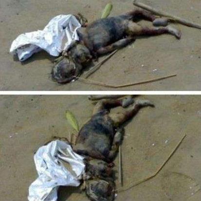 水猴子水鬼到底长什么样 真实水猴子水鬼图片