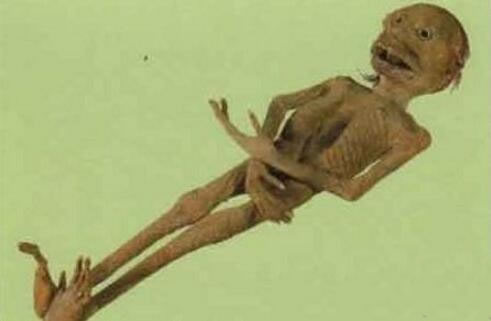 水猴子水鬼到底长什么样 真实水猴子水鬼图片