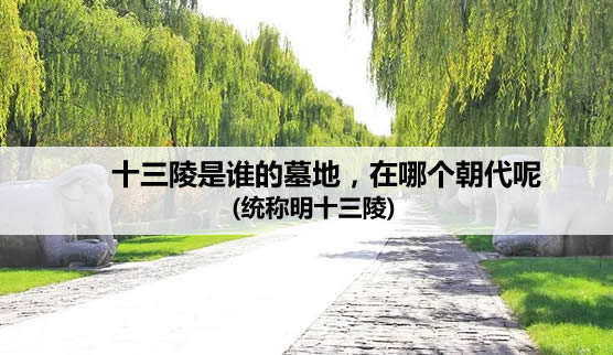 ����ʮ������˭��Ĺ�� �ĸ�������Ĺ��Ⱥ?