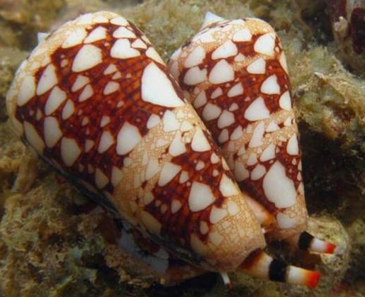 ���������˻��ж��� �����ݿ��Գ���