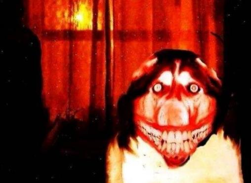 smile dog���������� ΢Ц���ֲ�ͼƬ��ȫ