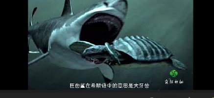 �޳�����������ж�ֲ� ����ʷ����ǿ��������