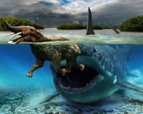 �޳�����������ж�ֲ� ����ʷ����ǿ��������