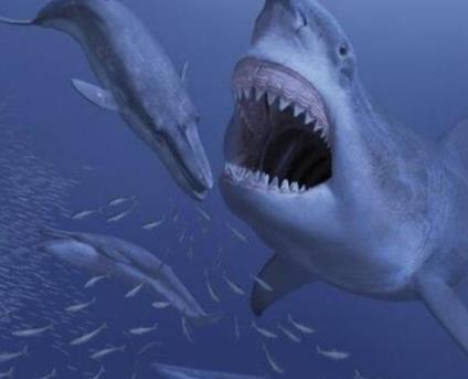 �޳�����������ж�ֲ� ����ʷ����ǿ��������