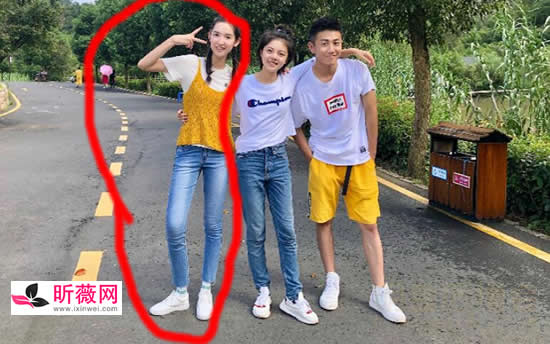 �����������߶��� �����������������