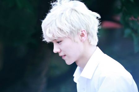 ¹�����賤ʲô�� ¹�ϵ��������Ƭ