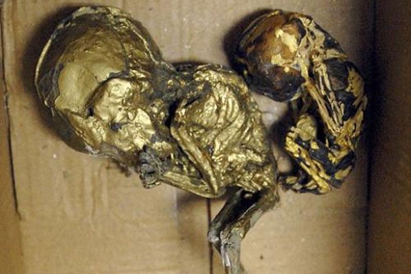 ̩��С����ô����ʵ ��С������ʵ���ڵ���