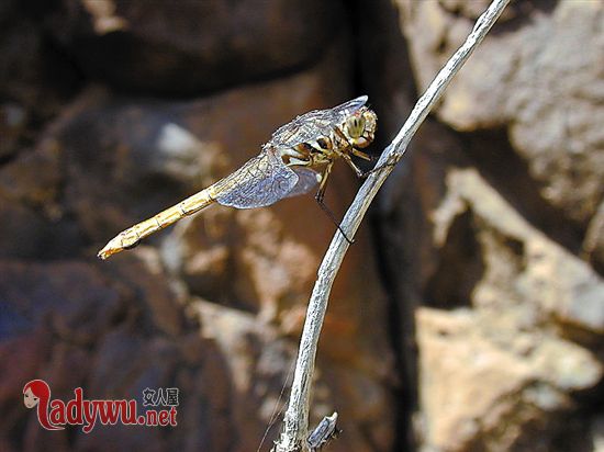 ��ɽ���������һ�귢���� ������Щ�����¼�