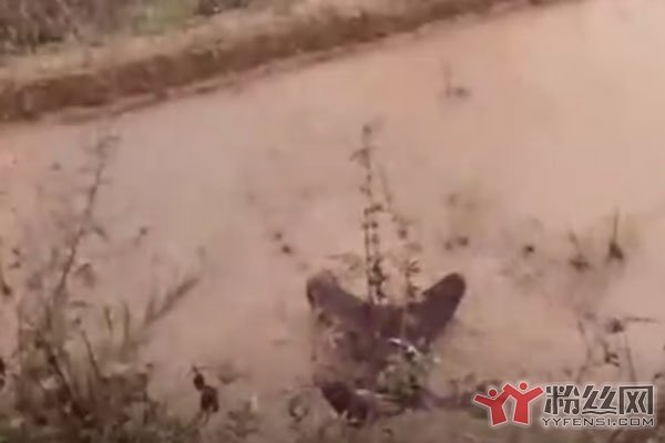 ���μ�˭���� ���μ������Ǹ�������˭