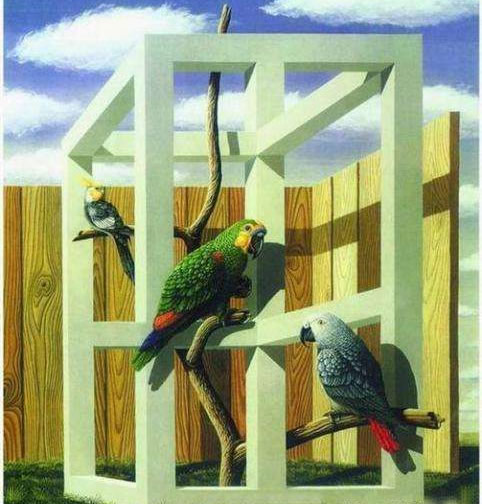 ����ͼƬ��ҿ�5���� ���ͼƬ���������