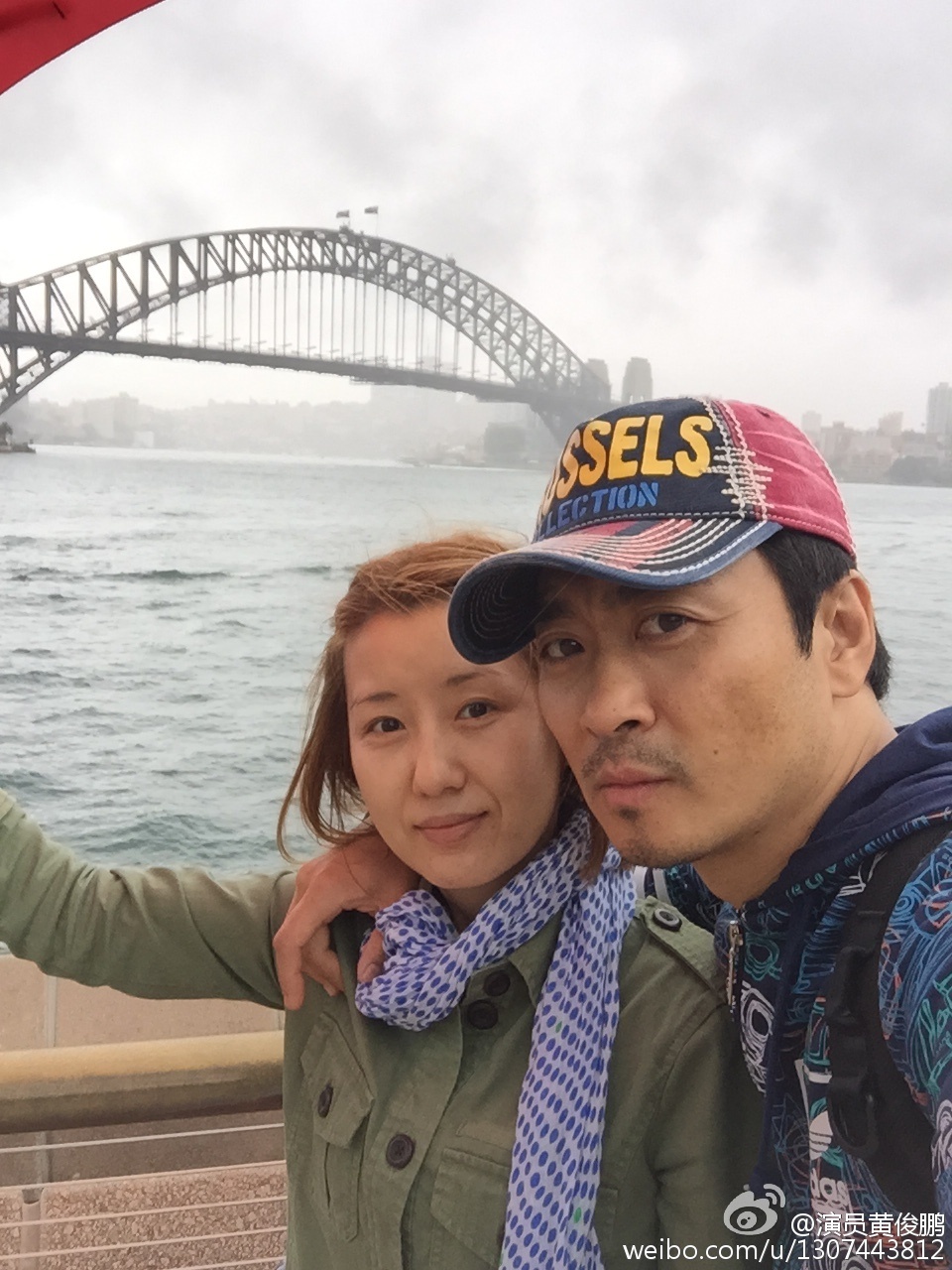 �ƿ������Ż�֥������Ƭ �ƿ���Ϊʲô����