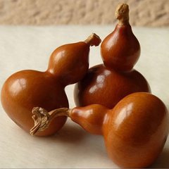 ��ţ�Ƶ������«ͼƬ �̳�Ư�������«��5������